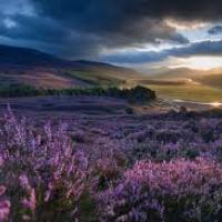 Scottish History